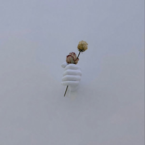 在线观看精品国产亚洲av
