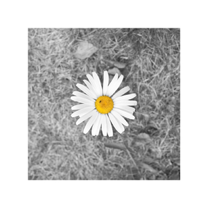 在线观看精品国产亚洲av
